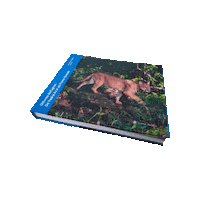 Book Brazil Sticker by Projeto Marsupiais