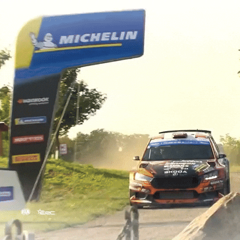 Erc GIF by FIA European Rally Championship