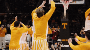 Tennessee Basketball GIF by UT Knoxville