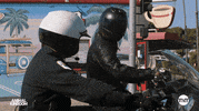 S5 GIF by Animal Kingdom on TNT