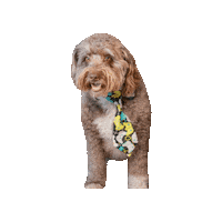 Video Game Dog Sticker by Geekster Pets