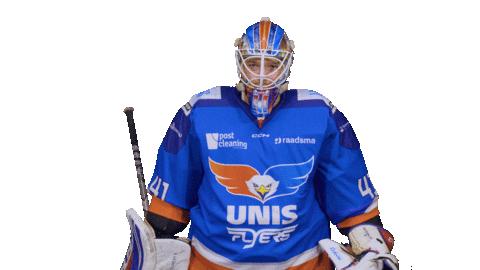 Goal Eagles Sticker by UNIS Flyers
