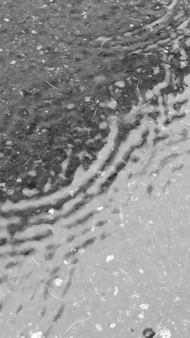 Simongip giphyupload GIF