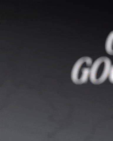 Vasco Da Gama GIF
