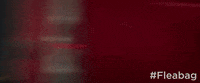 season 2 GIF by Fleabag