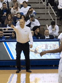 college basketball GIF by Hofstra University