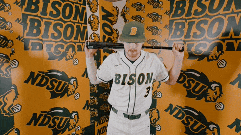 Baseball Bison GIF by NDSU Athletics