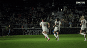 GIF by Stanford Athletics