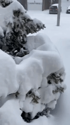 Winter Storm Buries Toronto Suburb in Snow