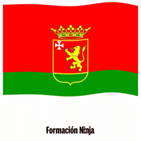 Flag Spain GIF by Formación Ninja