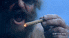 Dirty Heads Smoking GIF by Better Noise Music