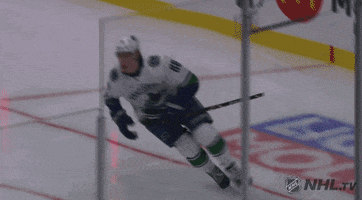 happy ice hockey GIF by NHL