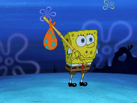 season 5 GIF by SpongeBob SquarePants