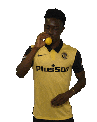 Party Ballon Sticker by BSC Young Boys