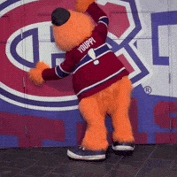 Montreal Canadiens Hockey GIF