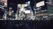 viceland GIF by HUANG'S WORLD
