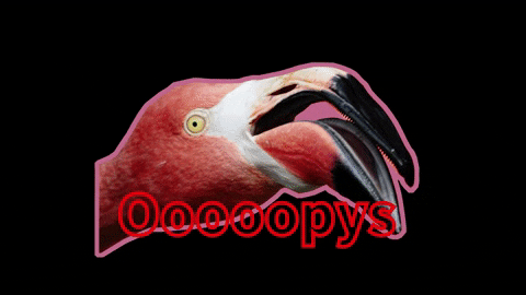 oopys GIF by CHESS TAIPEI