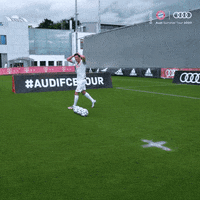 Fail Robert Lewandowski GIF by FC Bayern Munich