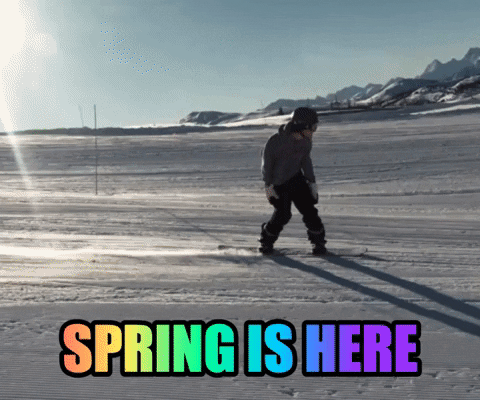Spring Snowboarding GIF by Sunshine Village
