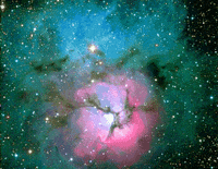 space cat GIF