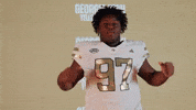 Georgia Tech Football Sport GIF by Georgia Tech Yellow Jackets