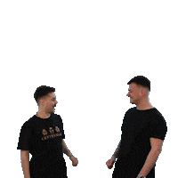 StraightLines_Nigrita bro fist yo bro straight lines straightlines Sticker