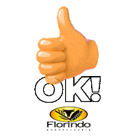 grupoflorindoagropecuaria ok florindo agropecuária ok florindo agropecuária Sticker