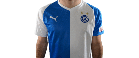 gcz1886 giphyupload club zurich gc Sticker