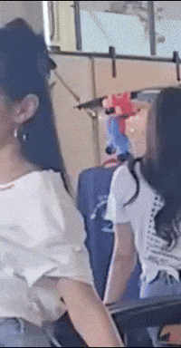 Model GIF