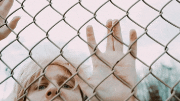 Sexy I Want You GIF by Aaron Taos