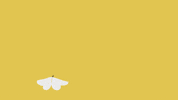 goldenwolf animation domination fxx adhd diplo GIF