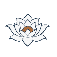 Birth Photographer Sticker by Lacey Barratt