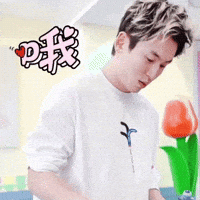 Zzh Zhangzhehan GIF