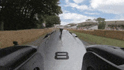 Roborace ai artificial intelligence electric car autonomous GIF