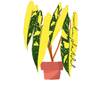 Houseplant Philodendron Sticker