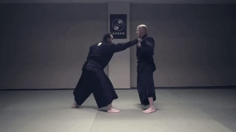 martial art ninja GIF by AKBAN Academy
