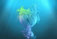 Shiba Inu Crypto GIF by SafemoonOfficial