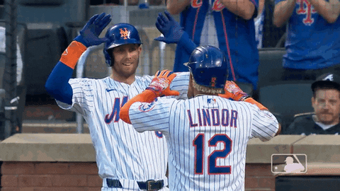New York Hug GIF by MLB