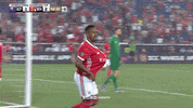 Celebrate Sl Benfica GIF by Sport Lisboa e Benfica