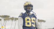 excited michigan football GIF by Michigan Athletics