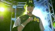 GIF by Michigan Athletics