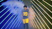 Go Blue Michigan Football GIF by Michigan Athletics