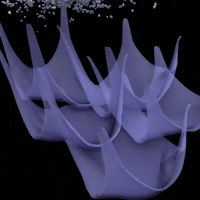 Hafid3D GIF