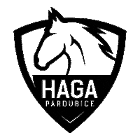 HAGAPardubice florbal haga florbalpardubice hagapardubice Sticker