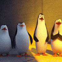 Penguins Of Madagascar Penguin GIF by Respective