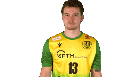 Handball-Bundesliga Handball Sticker by LIQUI MOLY HBL