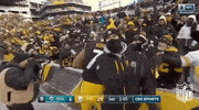 Pittsburgh Steelers Football GIF by NFL