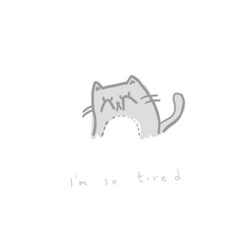 tired cat GIF by hoppip