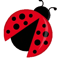 Ladybug Besouro Sticker