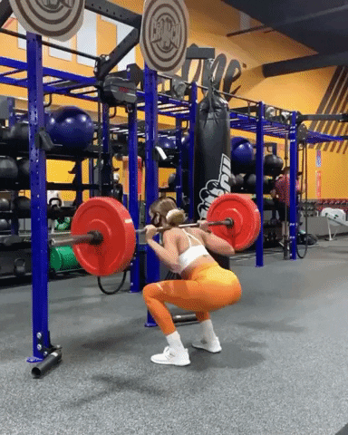 GIF by Gymshark